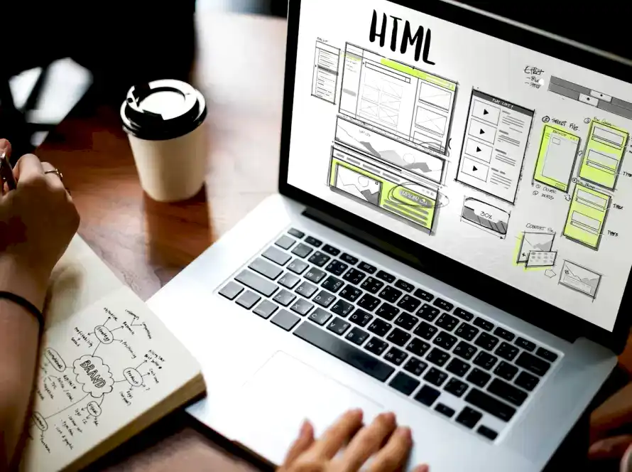 maykrosoft creative web tasarım
